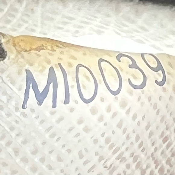 🩶LOUIS VUITTON Damier Azur Portefeuille Viennois Bifold Wallet | PRELOVED🩶 - Picture 14 of 14